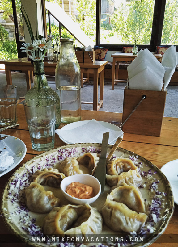 Momos dish Manali food cost India family travel what to eat in Manali