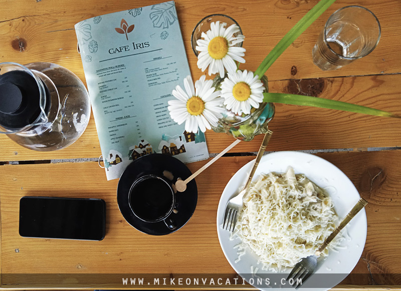 Iris Cafe Manali pasta menu kid friendly