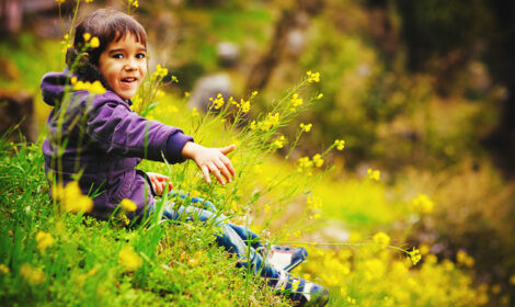 Best things to do in Manali with kids: Real family ideas from the Himalayas