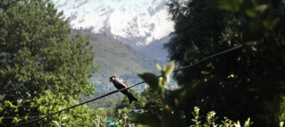 The best time to visit Manali based on real experience from traveling in the Himalayas with kids.